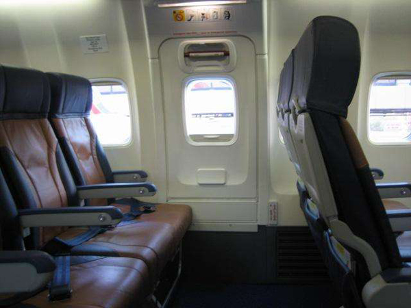 10.) The emergency door handles exist so that, amid chaos, flight attendants don
