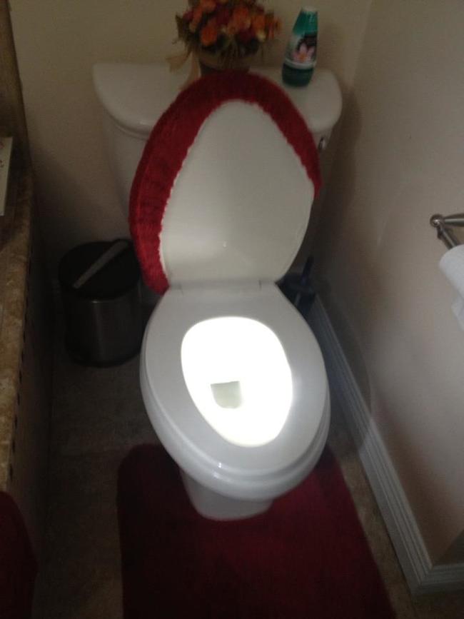 4. The sun is hitting the toilet so perfectly. It