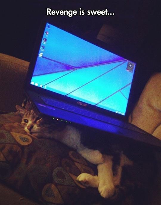 How funny.