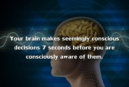 The Brain