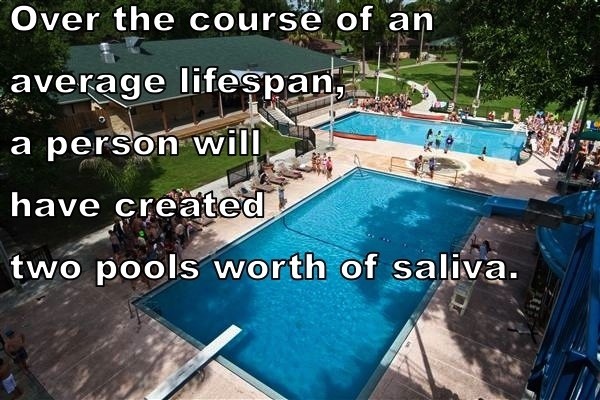 Saliva