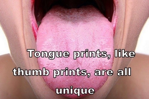 The Tongue
