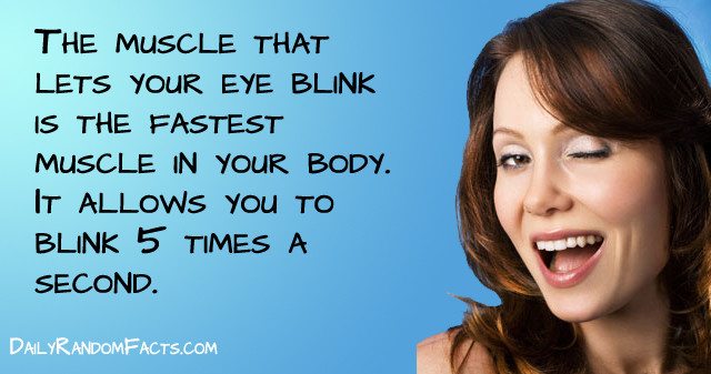 Blinking