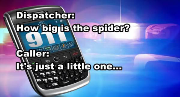 No, the police chief will not bring over a fly swatter.