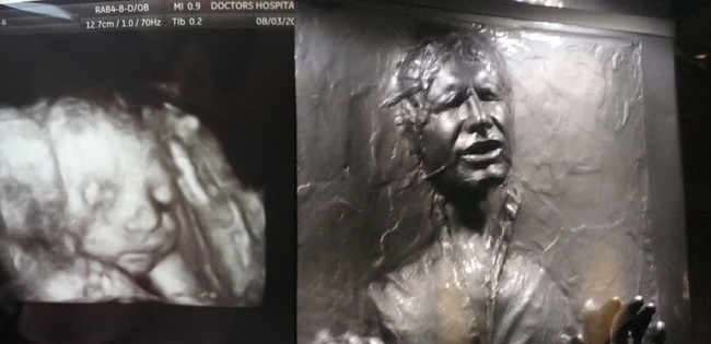 Han Solo in carbonite.