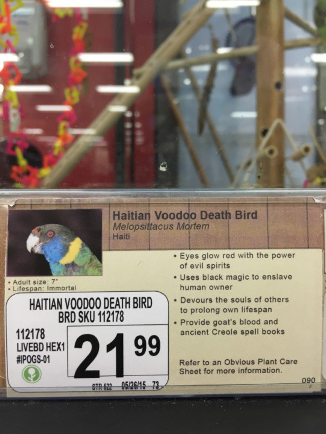 Perfect if your place is too small for a guard dog or a zombie crew to do your bidding.
