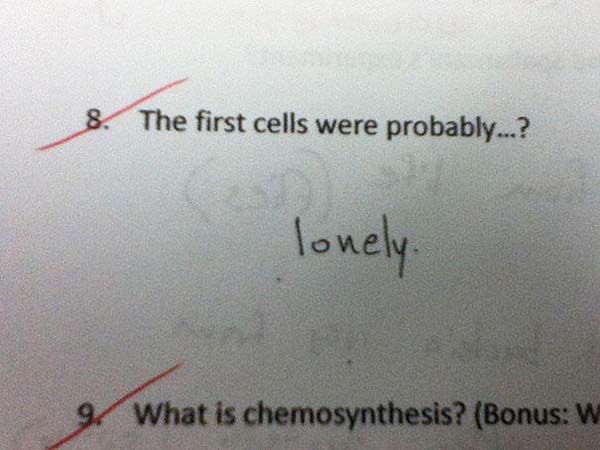 17.) Poor lil cells.