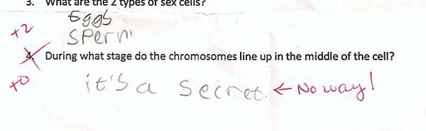 18.) Well, I certainly don