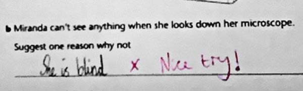 25.) A for effort!