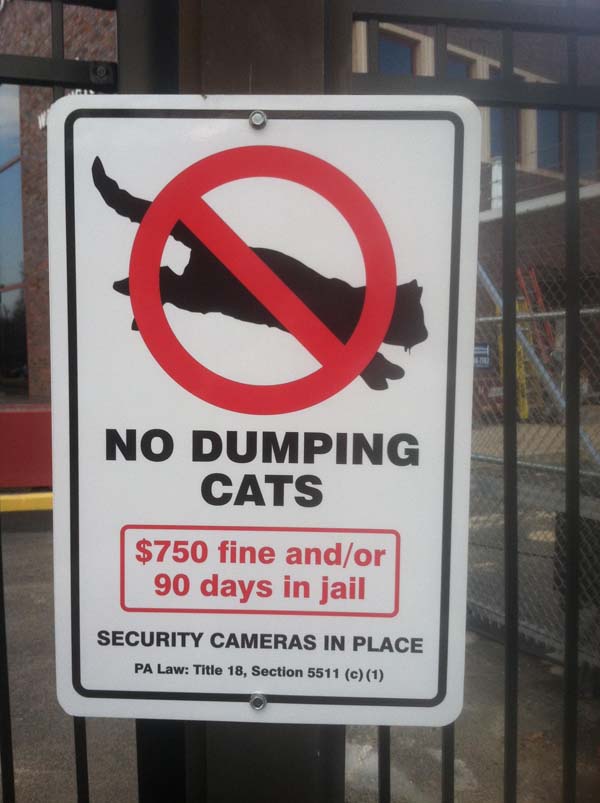9.) Throwing cats out of windows is kind of poor form.