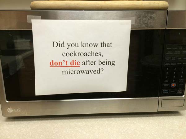 16.) Did you know that microwaving cockroaches is a little strange?