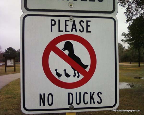 2.) What monster could possibly be anti-duck?