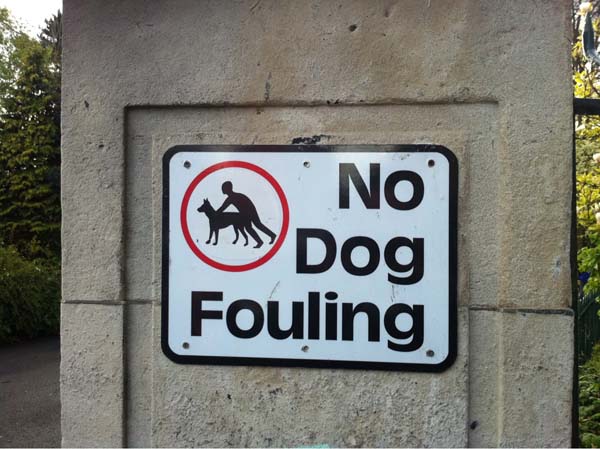 38.) I think I know what this means... and... ew.
