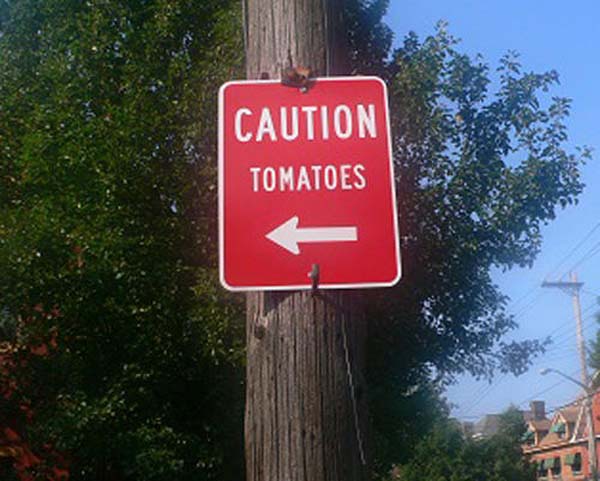 4.) NOOOO, NOT THE TOMATOES!